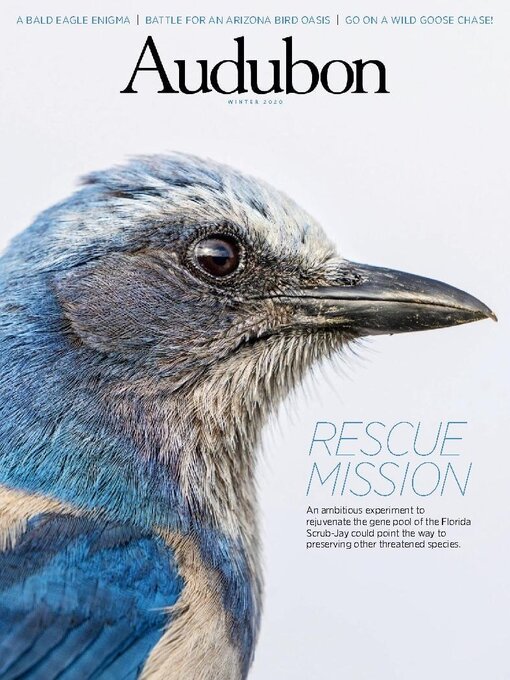 Détails du titre pour Audubon Magazine par National Audubon Society - Disponible